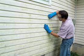 Affordable Siding Repair and Maintenance Services in Osgood, IN